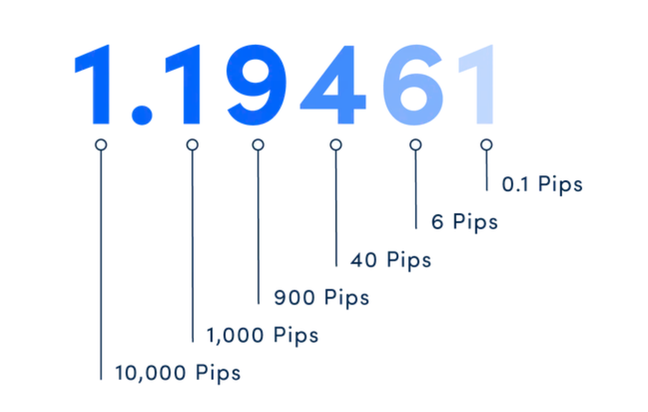 How Do Pips Work?